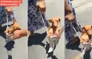 Personas sorprenden con peculiar forma de transportar a su perrito ante la ola de calor: "El engredo de casa"