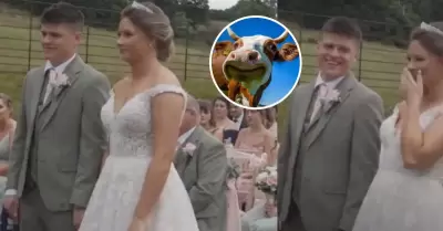 Vaca se opone a una boda.
