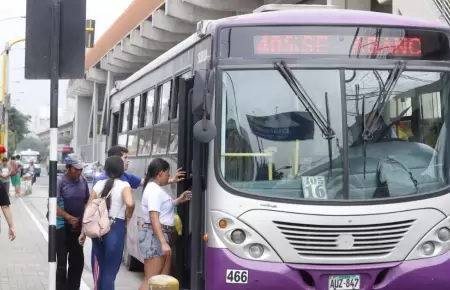 Estos son los buses que cubrirán la ruta del Corredor Morado