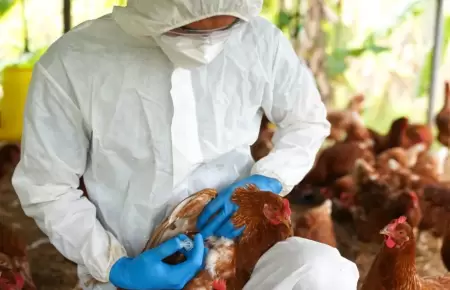 Reportan nuevo caso de influenza aviar.