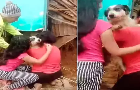 Familia rescata a su perro en Piura.