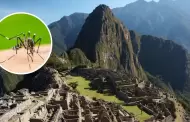 Cusco: Atencin! Confirmaron primer caso importado de dengue en Machu Picchu