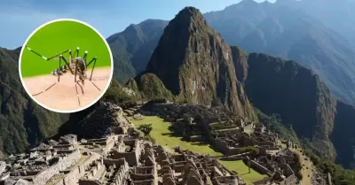 Primer caso importado de dengue en Machu Picchu.