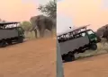 De no creer! Elefante ataca y voltea camin de turistas en pleno safari