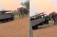 De no creer! Elefante ataca y voltea camin de turistas en pleno safari