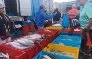 ncash: precio del pescado se incrementa en Chimbote por Semana Santa