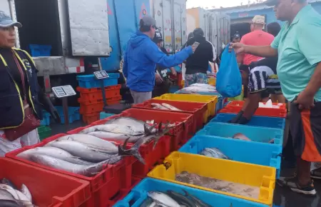 Precio del pescado se incrementa en Chimbote por Semana Santa