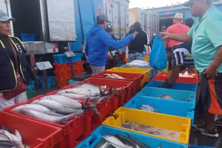 Precio del pescado se incrementa en Chimbote por Semana Santa
