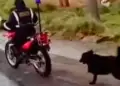 Indignante! Sereno amarra a un perrito a su moto y lo arrastra por las calles de Puno