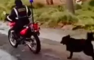 Indignante! Sereno amarra a un perrito a su moto y lo arrastra por las calles de Puno