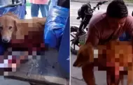 Iquitos: Lamentable! Hombre que mat un perro, que frustr un intento de homicidio, se encuentra prfugo