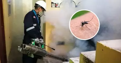 "Fumigatn" contra el dengue.