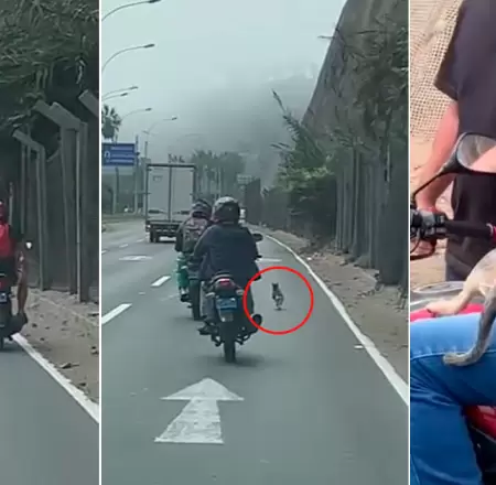 Motociclistas rescatan a perrito en la Costa Verde.