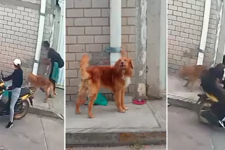 Pareja abandon a su perrito en Puebla.