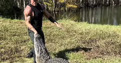 Hombre pele con un cocodrilo de ms de dos metros.