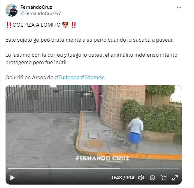 Hombre maltrat a su perrita de raza pitbull en plena calle.