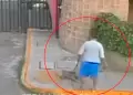 Lamentable! Hombre golpea salvajemente a su perrita pitbull al sacarla a pasear