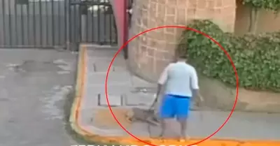 Hombre maltrata a su perrita en Tultepec, Edomex, en Mxico.