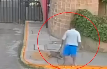 Hombre maltrata a su perrita en Tultepec, Edomex, en Mxico.