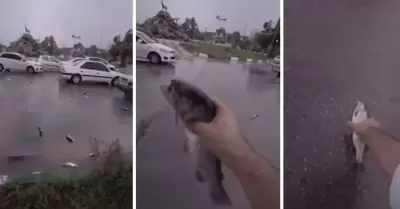 Lluvia de peces deja impactados a pobladores de Irn.