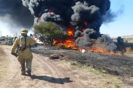 Siete muertos dej terrible incendio en Mxico.