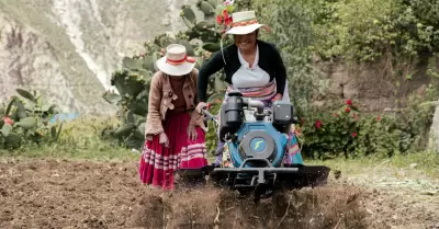 Madres peruanas comprometidas con proveer de alimentos la mesa de 33 millones de