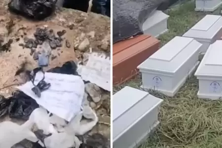 Hallan rituales de hechicera en tumbas de conocido cementerio.