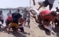 Indignante! Sujetos son captados asesinando cruelmente a pez espada en playa de Tumbes (VIDEO)