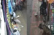 Sorprendente! Perrito salva a su dueo de ser baleado por delincuentes mientras caminaba por la calle