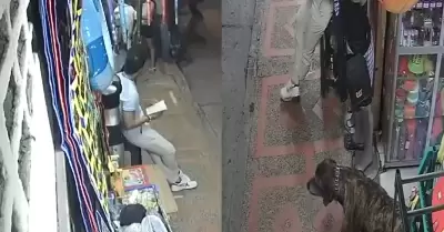 Perrito salva a su dueo de morir baleado.