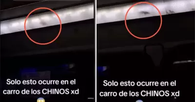 Peruano graba a rata corriendo en panel de luces de bus