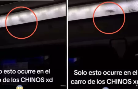 Peruano graba a rata corriendo en panel de luces de bus