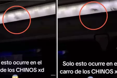 Peruano graba a rata corriendo en panel de luces de bus