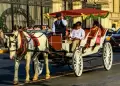 MML planea gastar S/13 millones en carruajes a caballo para "reordenar" transporte en el Centro Histrico