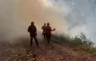 Incendio forestal de Pasco: Siniestro destruye 25 hectreas de pastizales y rboles en cerro Andasco