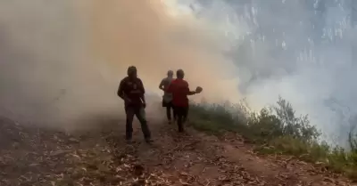 Incendio forestal de Pasco
