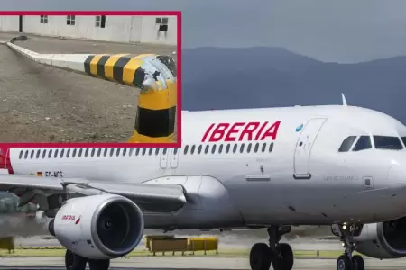 Avin Iberia