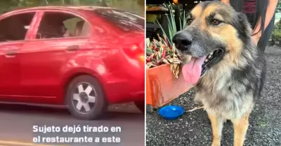 Sujeto abandona a su perro en un restaurante de Ibagu.