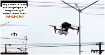 Emprendedor vende paltas usando dron con megfono