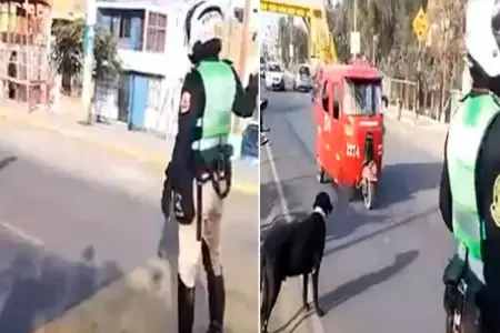 Polica ayuda a perrito a cruzar la pista.