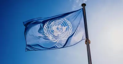 Organizacin de las Naciones Unidas