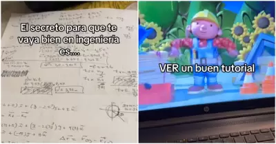 Estudiante de Ingeniera mira 'Bob el constructor'