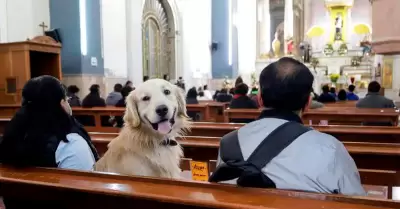 Sacerdote cuestiona a quienes llevan sus mascotas a la Iglesia.