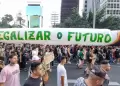 Histrico! Tribunal de Brasil despenaliza el consumo de marihuana: Cuntos gramos podrs llevar?