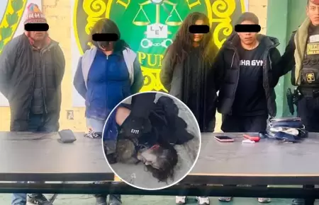 Cuatro sujetos fueron golpeados tras robar tienda de abarrotes en Puno.