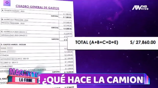 Cuadro de gastos realizados por la defensa de Pamela Lpez para la pensin de sus hijos con Cueva.