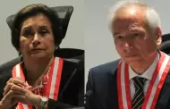 Ins Tello y Aldo Vsquez vuelven a ser miembros de la Junta Nacional de Justicia por orden del Poder Judicial