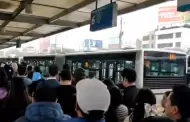 Metropolitano: Cmo funciona el flujo del servicio y por qu se hacen largas colas? Concesionarios responden