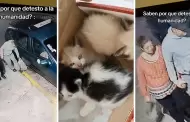 Lamentable! Pareja mete a tres gatitos en una bolsa y los abandonan a su suerte en plena calle