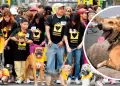 Caminata por el da del perro: Conoce cundo y dnde se realizar esta actividad dedicada a animalitos sin hogar